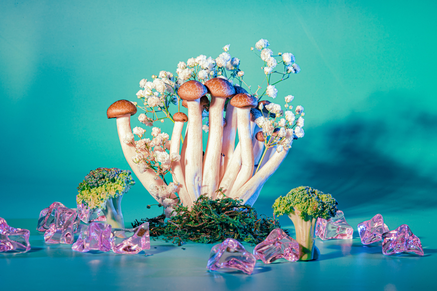Mushrooms on Vibrant Background